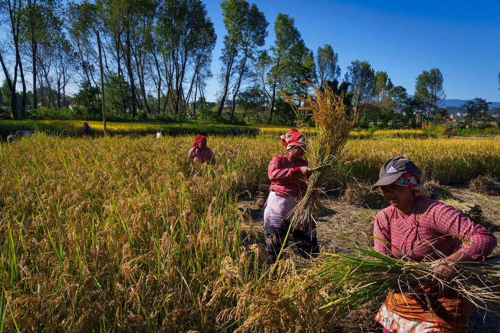 In Nepal, women seek ownership rights to the lands they tend In Nepal, women seek ownership rights to the lands they