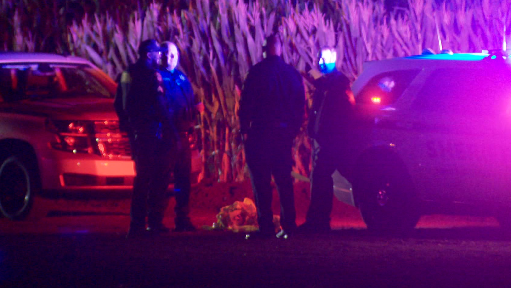 1 in custody, 2 hurt in stabbing at Cool Patch Pumpkins in Dixon 1 in custody, 2 hurt in stabbing at Cool Patch