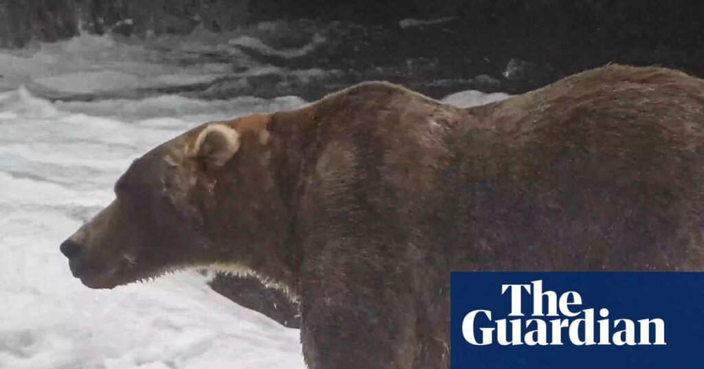 Backpack edges past Dancing Queen to win Alaska’s Fat Bear