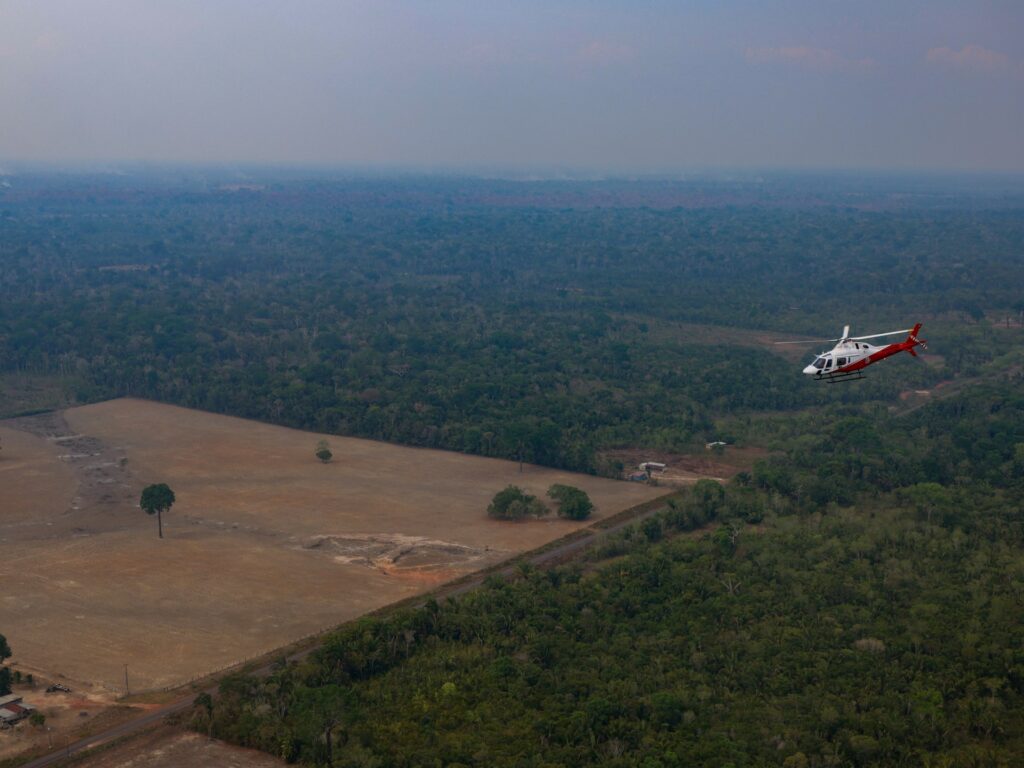 Brazil’s Amazon deforestation hits lowest level on record | Climate