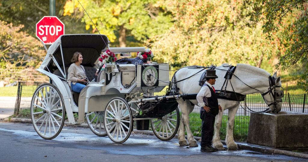Central Park’s horse drawn carriage drivers fear for their future as