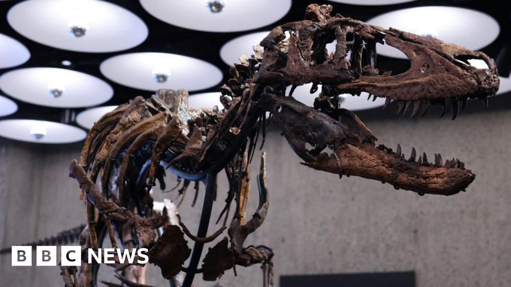Dinosaur skeleton goes to auction in New York with £4.5m price tag – BBC Dinosaur skeleton goes to auction in New York with £4.5m