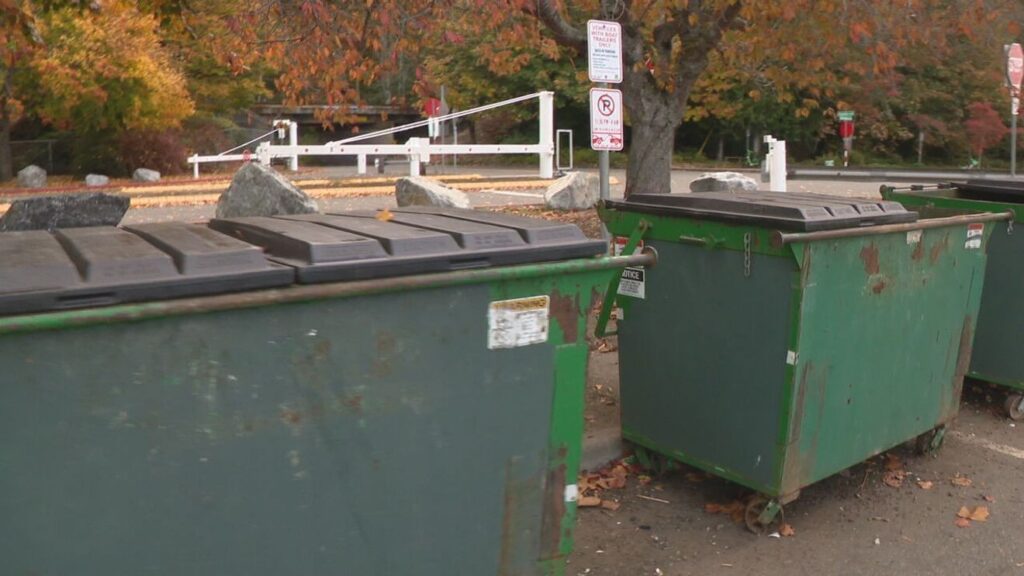 Dozens of undelivered ballots found in dumpster at Seattle park Dozens of undelivered ballots found in dumpster at Seattle park
