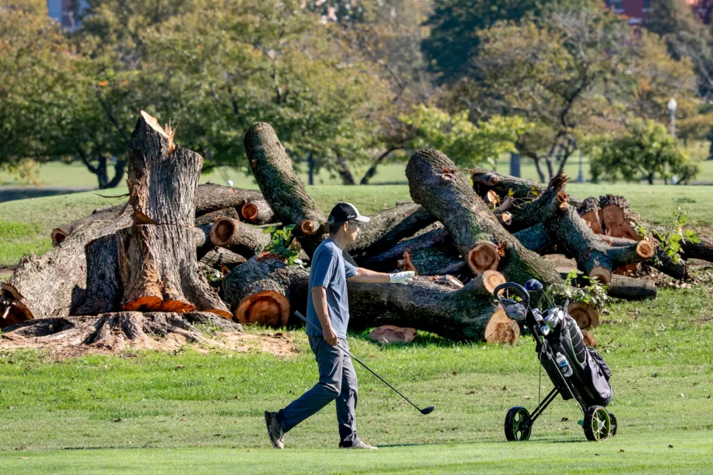 East Potomac tree removal spurred by Trump, judge concludes East Potomac tree removal spurred by Trump, judge concludes