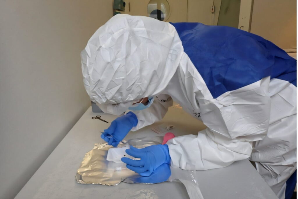 Eland protein found in 60,000 year old ochre layer offers clues to
