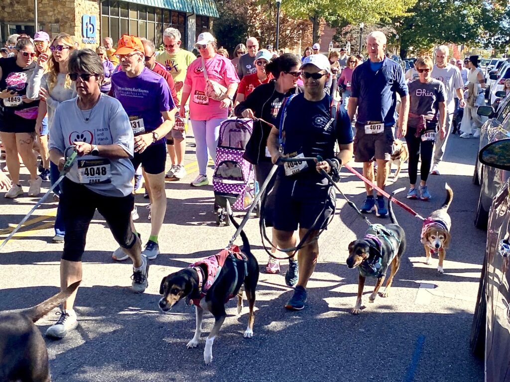 Hearts & Hands 4 Paws 5K raises money for pet
