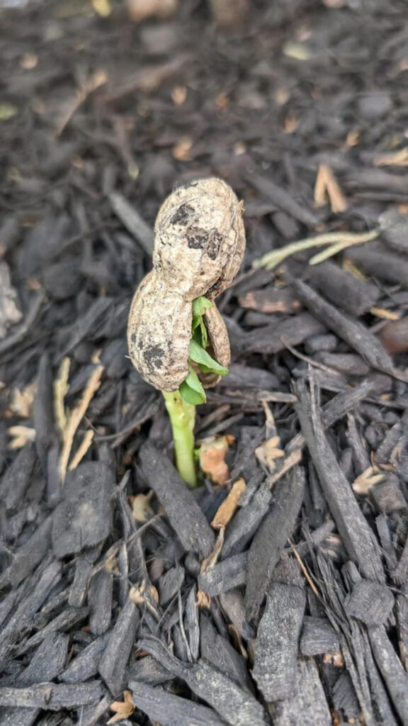 My Mind Got Blown After Seeing These 25 Incredible Pictures For The First Time My Mind Got Blown After Seeing These 25 Incredible Pictures