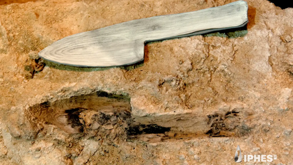 Neanderthal wooden tools from Spain found preserved in stone Neanderthal wooden tools from Spain found preserved in stone