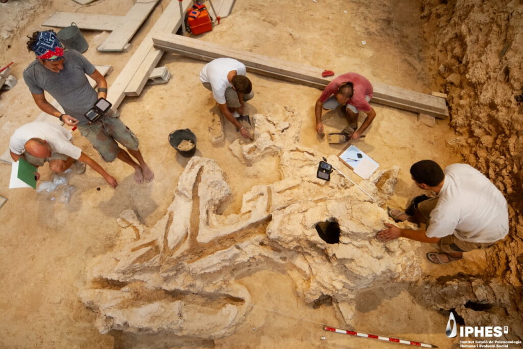 Neanderthal woodworking was far more advanced than we thought, new