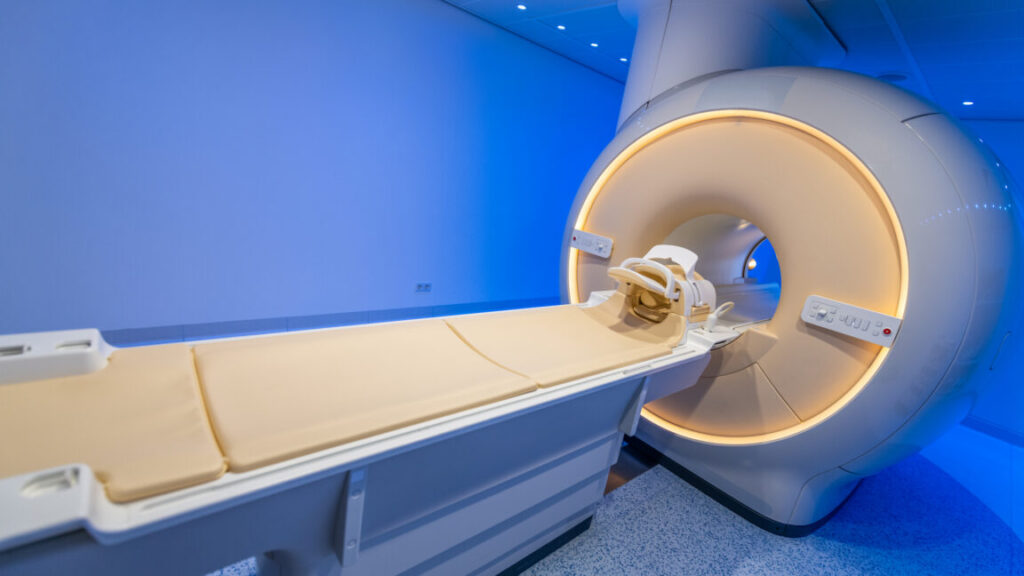 One with the world? A new look at brains transformed