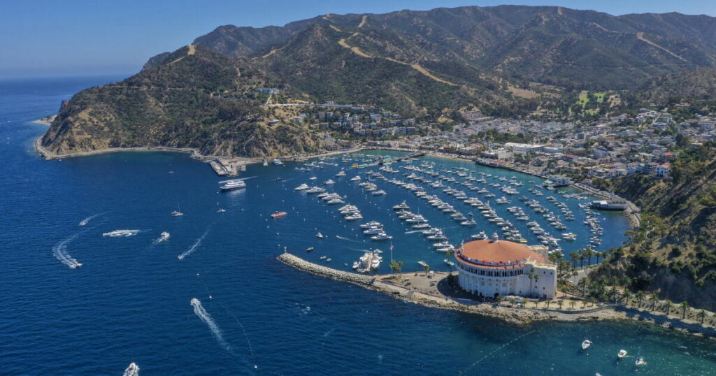 ‘People screaming for help’: Details of Catalina copter crash emerge 'People screaming for help': Details of Catalina copter crash emerge