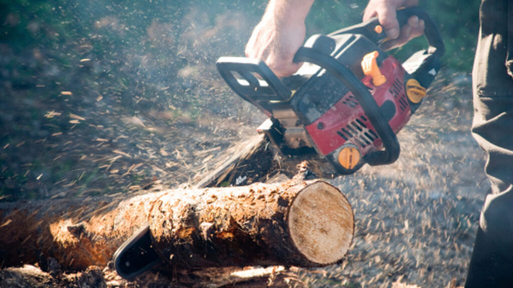 Quickly Sharpen Your Chainsaw Blade Efficiently With A Portable Amazon