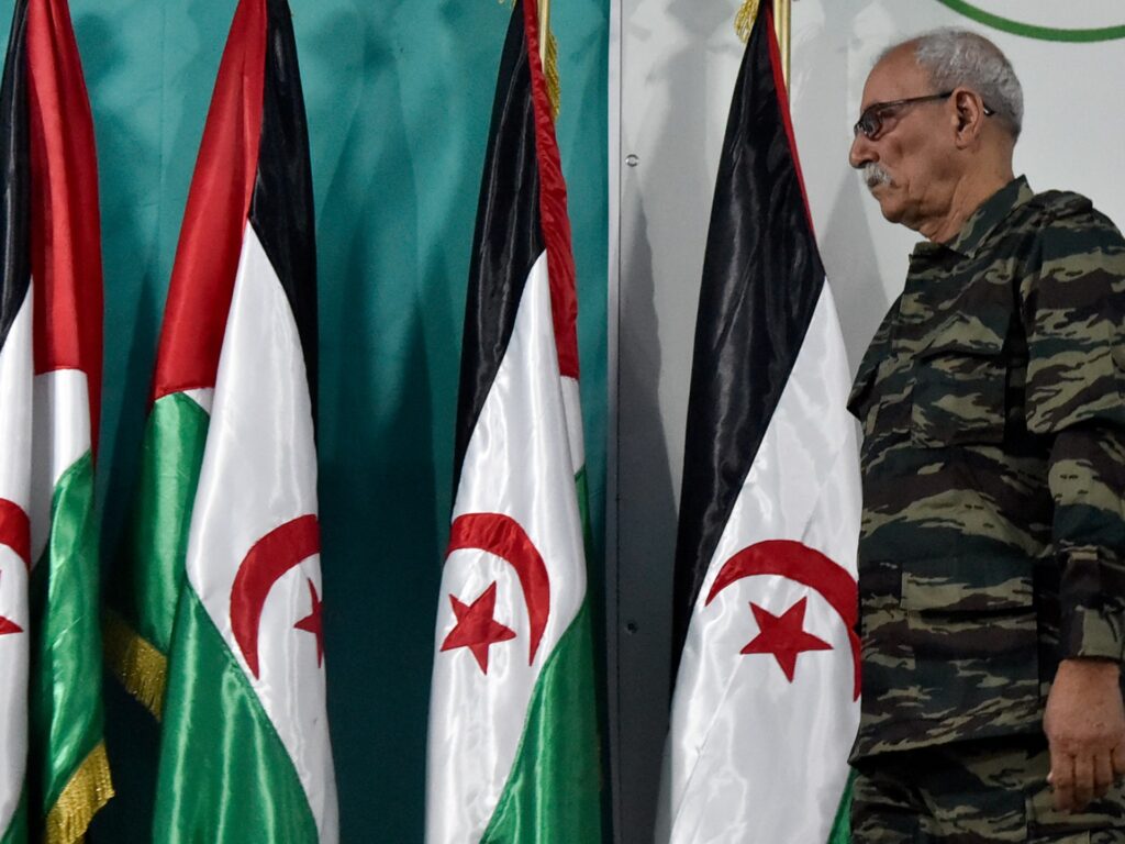 Rival US and Russian resolutions on Western Sahara fail at