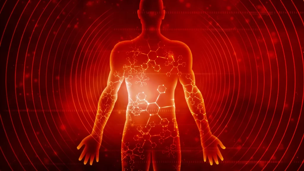 Scientists reveal what seven days of fasting does to the
