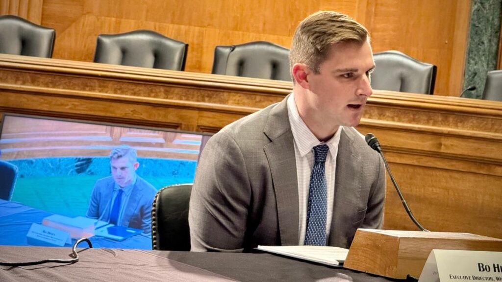 Senate's top Democratic investigator looking into Tether payments to Bo