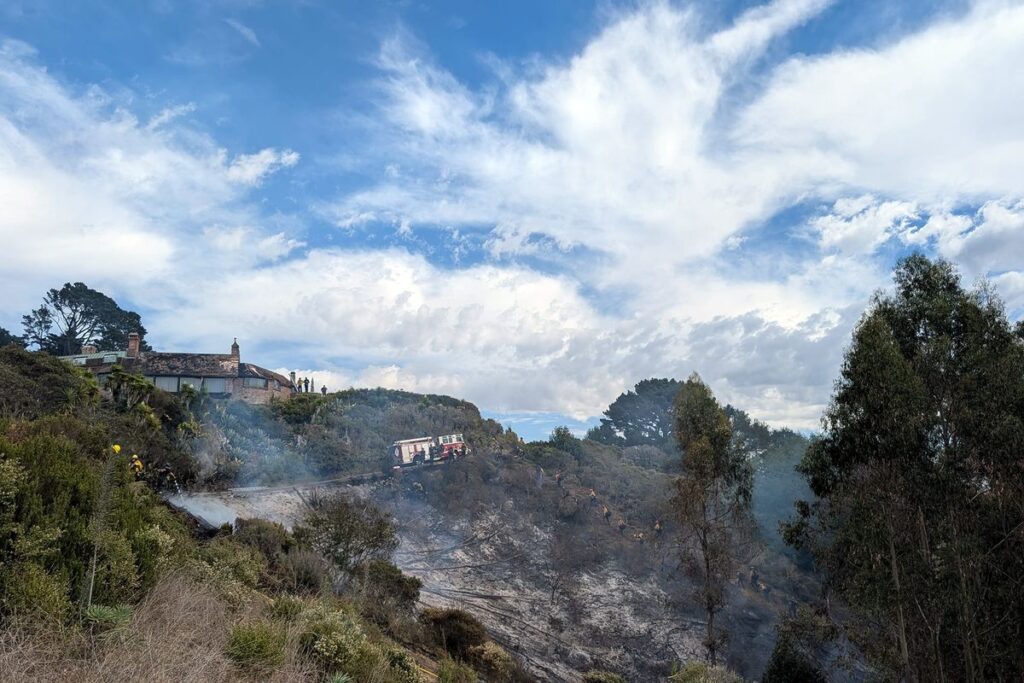 Update: Panoramic Hill fire in Berkeley ‘under control’ Update: Panoramic Hill fire in Berkeley 'under control'